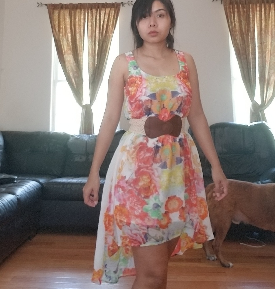 Dress - Picture 4 of 4